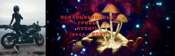 спайс Приозерск