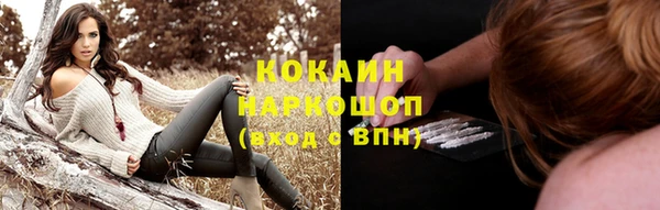 гашик Балахна