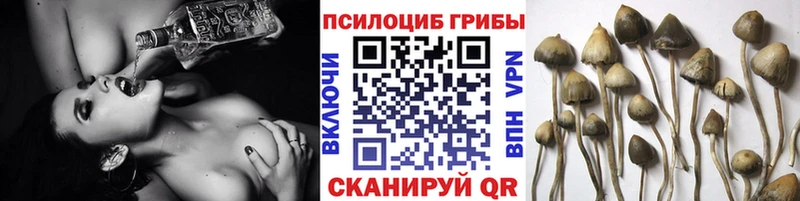 Галлюциногенные грибы Magic Shrooms  ссылка на мегу ссылки  Печора 