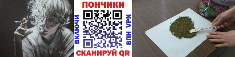 купить наркотики цена  Печора  Канабис план 